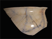 bed pan sherd