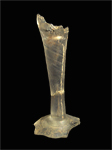 wine glass stem